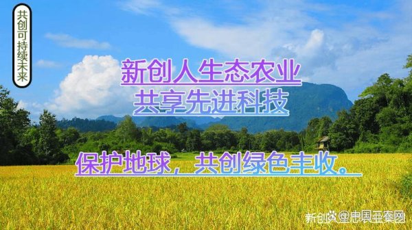 配资资讯之家 逐梦绿色未来之境——新创人生态农业勾勒农业发展新图景