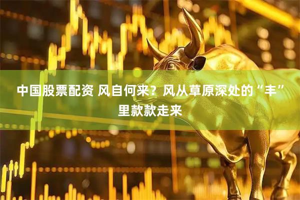 中国股票配资 风自何来？风从草原深处的“丰”里款款走来