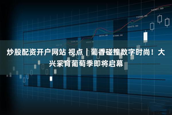炒股配资开户网站 视点｜葡香碰撞数字时尚！大兴采育葡萄季即将启幕
